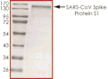 Product Element Image